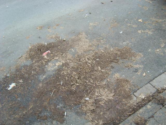 Verschmutzung Hochemmericher Markt