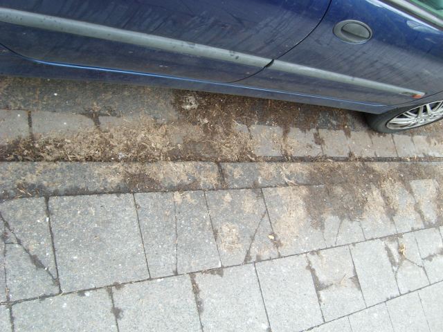 Verschmutzung Hochemmericher Markt