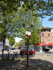 IMG_20160502_123401 Wahlkampfwerbung AFD a