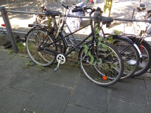 IMG_20160817_163001 Wenn es mal wieder etwas länger dauert a