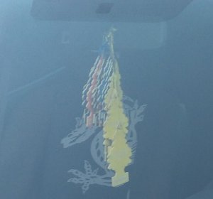 img_20161204_154224-es-stinkt-a-cc-by-nc-nd-ulrics