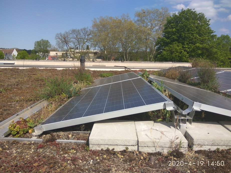 Photovoltaikanlage auf einem flachen Dach mit Begrünung