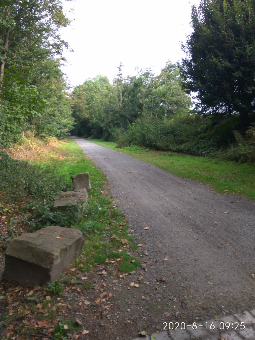Radweg statt Osttangente