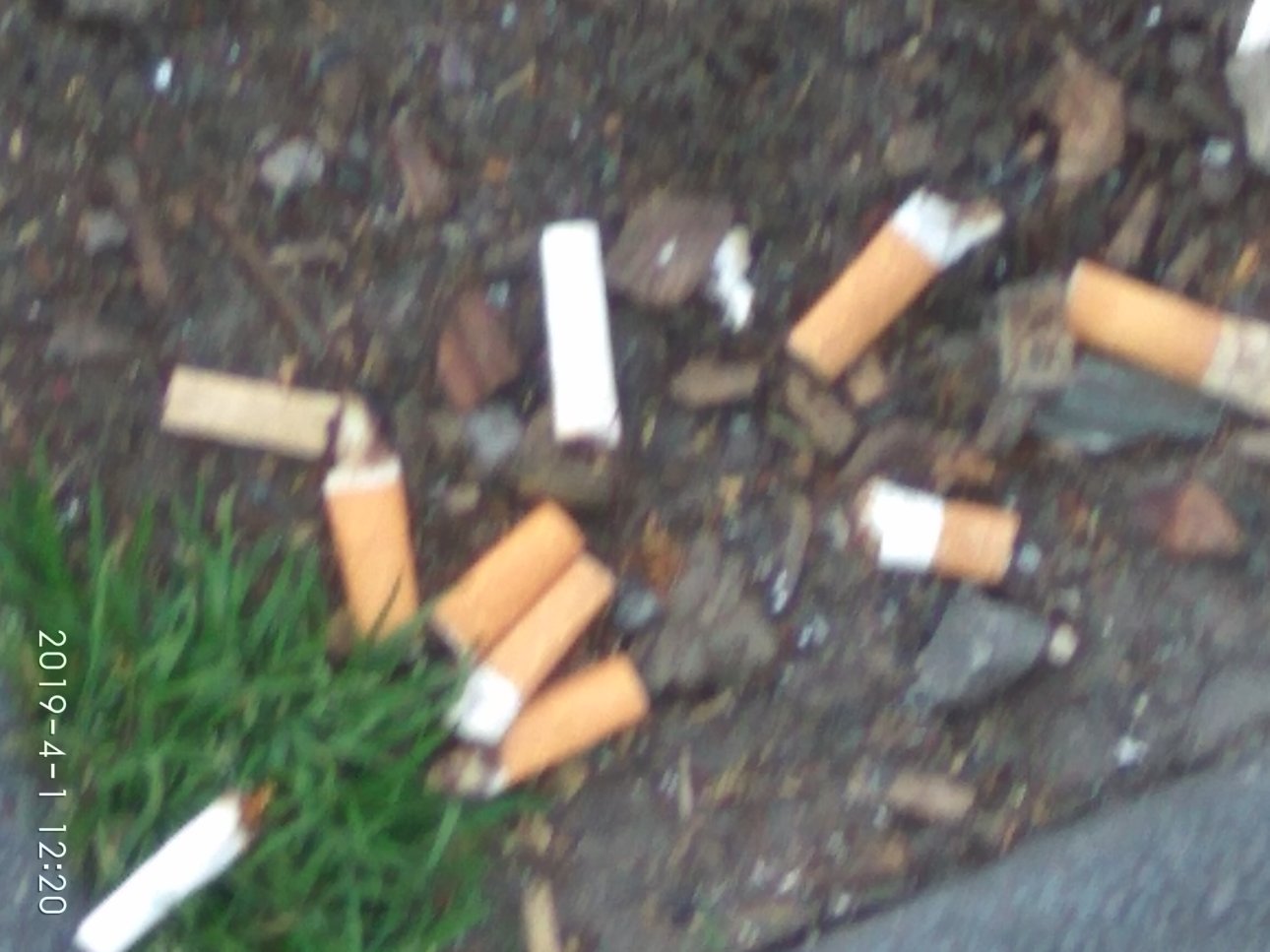 Mehrere Zigarettenkippen auf dem Boden.