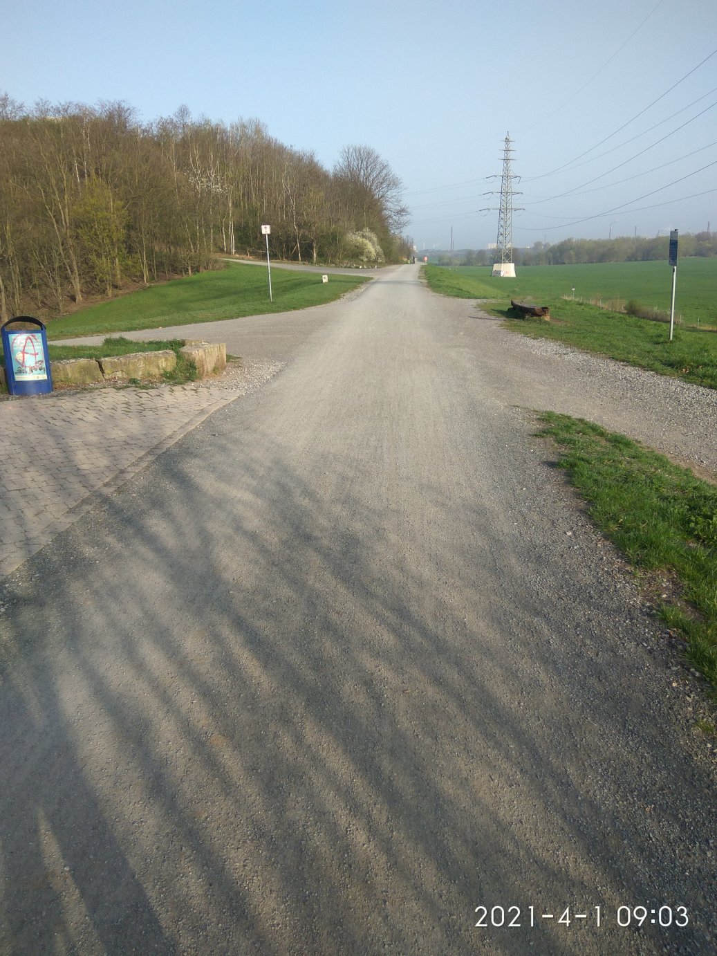 Deich und Rheinvorland mit Strommasten.