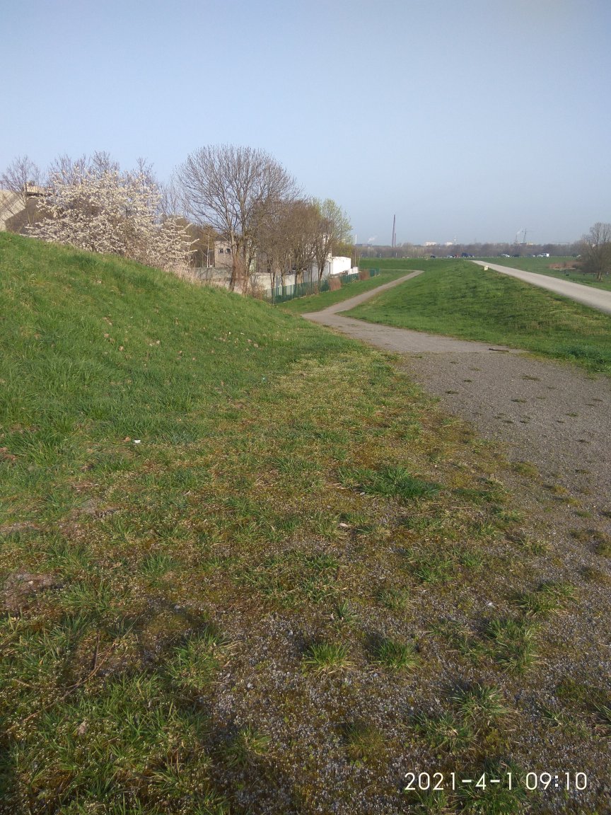 Blick auf die Kläranlage und den Deich in Duisburg Rheinhausen