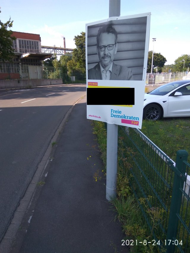 Falschplakatieren FDP
