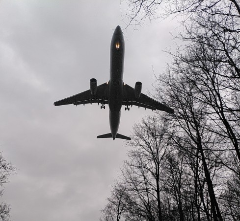 Flugzeug beim Landeanflug am Flughafen Düsseldorf, von unten. Die Bäume sind winterlich kahl und der Himmel darüber grau.