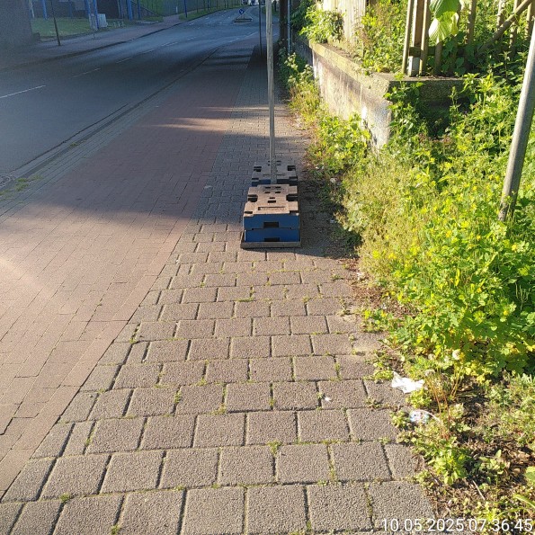 Schilderfuß im Fokus, Rechts Radweg, Links davon zugewachsener Gehweg
