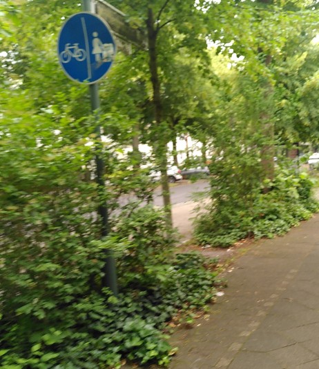 Zugewachsenes Schild für nutzungpflichtigen Radweg