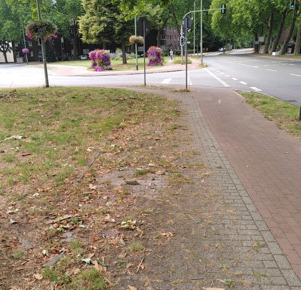 Im Vordergrund ein zugewachsener Gehweg, daneben ein Radweg und dahinter eine Einmündung