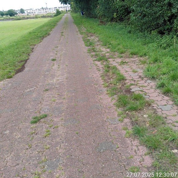 Gepflasterte Weg, erheblich mit Gras zugewachsen durch mangelhafte Pflege