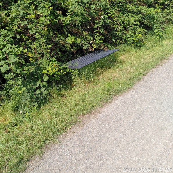 Halb zugewachsene Bank