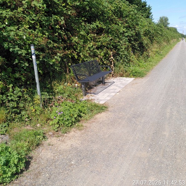 Bank mit Pfahl daneben, aber ohne Mülleimer