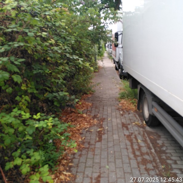 Gehweg signifikant zugewachsen daneben geparkte LKW