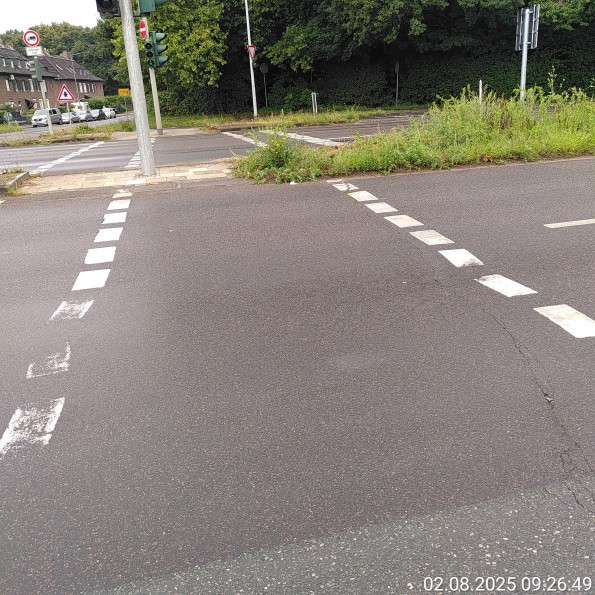 Teilweise zugewachsene Mittelinsel an einer vierspurigen Straße