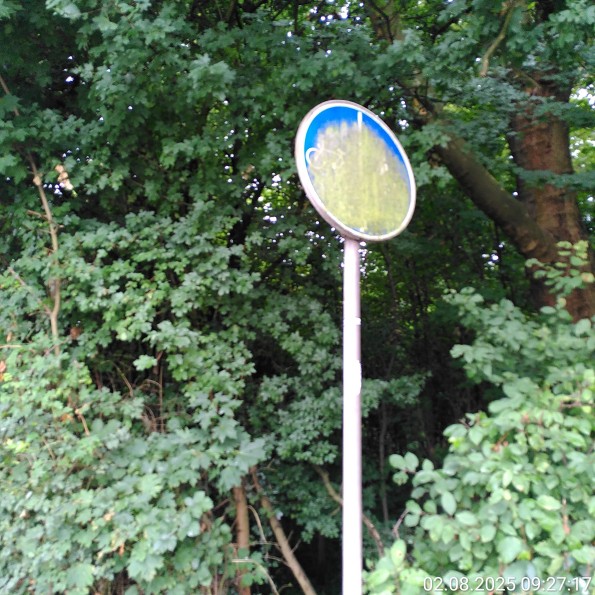 Fast völlig zugemoostes Verkehrsschild