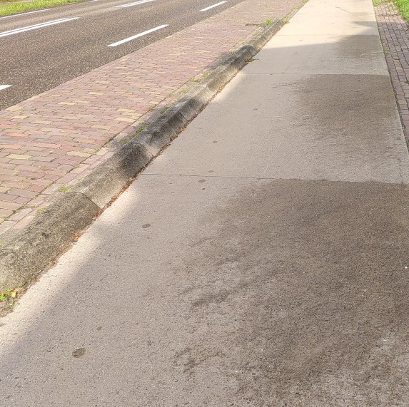 Links sieht man Fahrbahn, daneben Parkbereich und abgrenzt durch einen Bordstein den Rad- und Gehweg