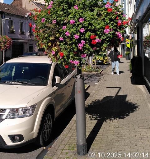 Blumenkübel an Laternmast. Die noch blühenden grünen Pflanzenteile hängen in den Kopfraum des Gehweges.