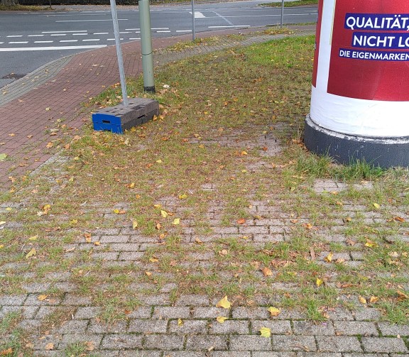Gehweg in Rheinhausen stark begrünt