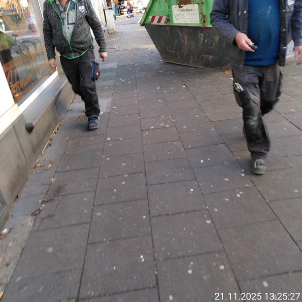 Container schränkt Gehweg mit viel Fußverkehr ein.