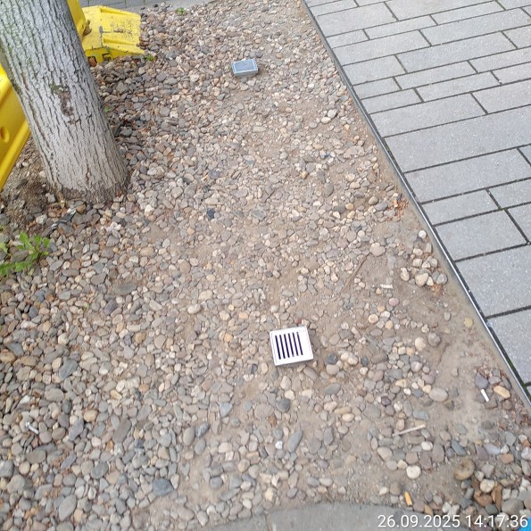 Baumscheibe mit Kanten und Abläufen, die ein Problem darstellen könnten.