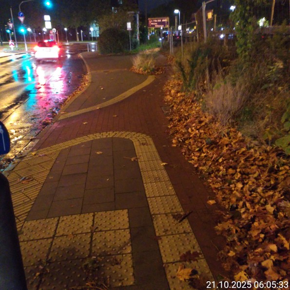 Radweg mit Laub und Gestrüpp fast vollständig bedeckt. Aufnahme aus Oktober 2025