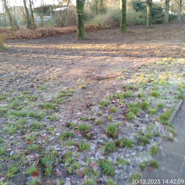 Grünfläche die man völlig entlaubt hat.