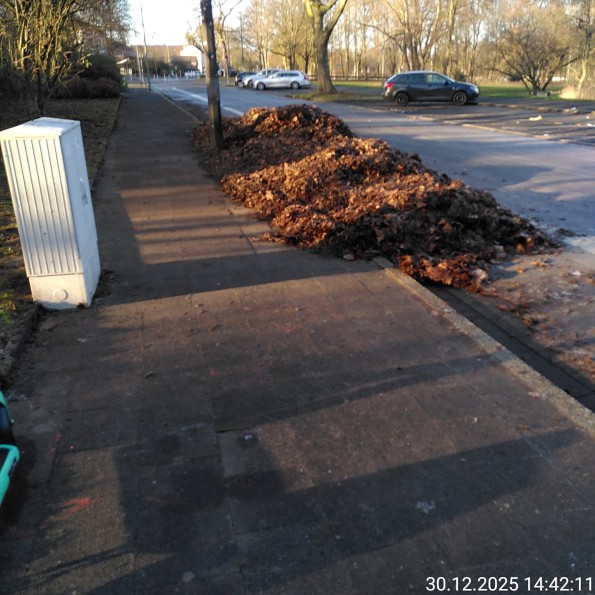 Das ganze Laub auf der Fahrbahn und ein bisschen auf dem Gehweg.