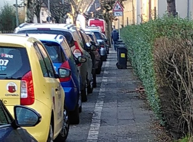 Hermannstr. Duisburg Rheinhausen mit Hecke und Mülltonnen