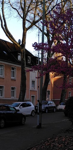 An einen Laternenmast ist ein Gerät befestigt, mit einem langen Stab, an dem oben eine Kamera ist.