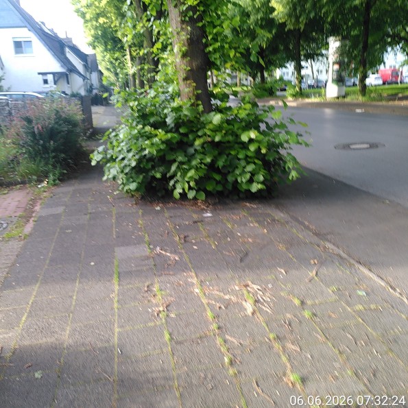 Duisburg Rheinhausen mit einem fast zugewachsenen Rad- und Gehweg